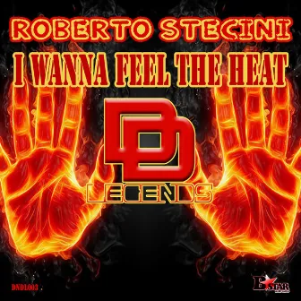 I Wanna Feel the Heat (Original Mix) by Roberto Stecini