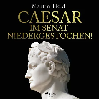 Caesar im Senat niedergestochen! by Martin Held