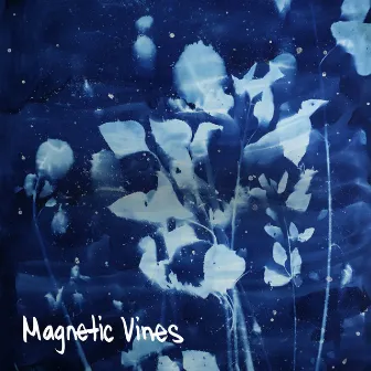 Magnetic Vines by Magnetic Vines