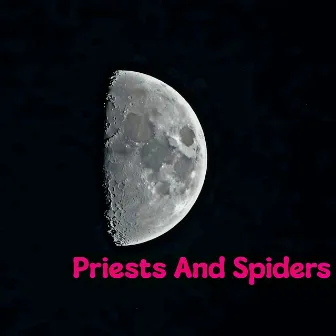 Priests And Spiders by Timothy Jackson