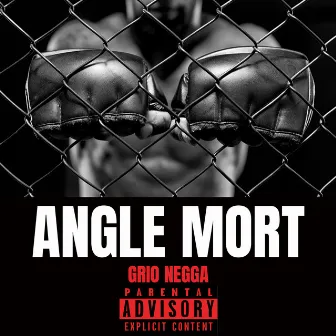 ANGLE MORT by Grio Negga