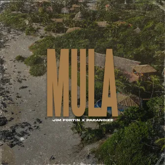 Mula by Paranoize