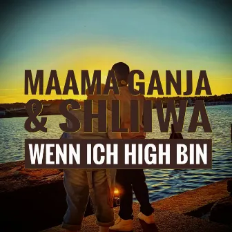 Wenn ich High bin by Shliiwa