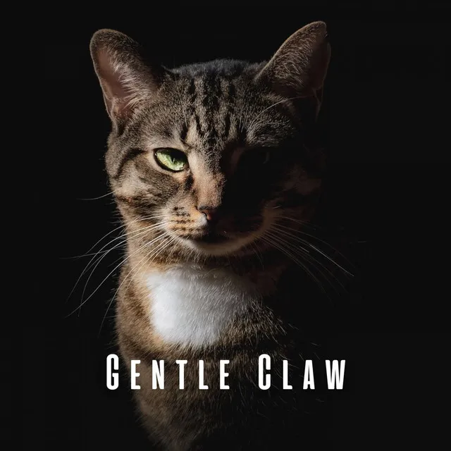 Gentle Claw: Cat's Chill Music Journey