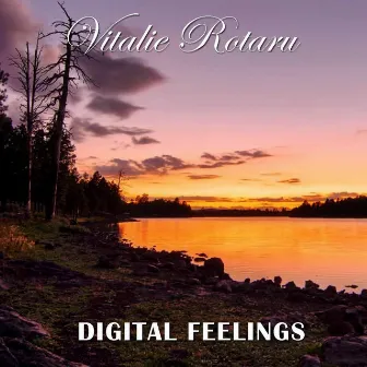 Digital Feelings by Vitalie Rotaru