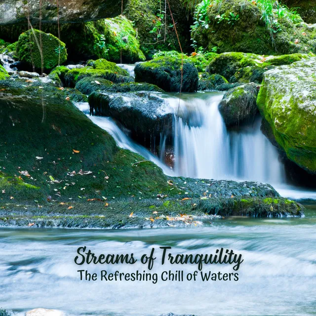 Streams of Tranquility: The Refreshing Chill of Waters