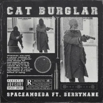 CAT BURGLAR by $paceamoeba