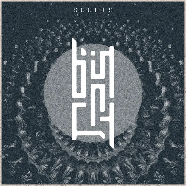 Scouts