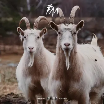 GOAT & GOAT by Wylker G