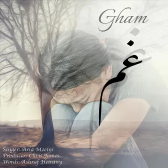 Gham by Aria Moeini