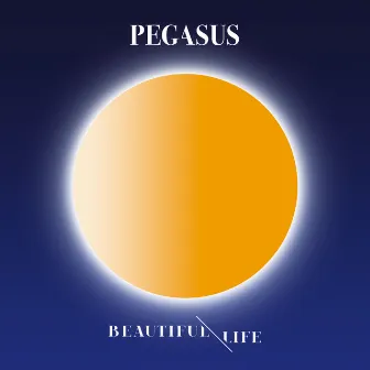 Beautiful Life by Pegasus