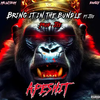 Bring It In The Bundle by Mr. Wisdom