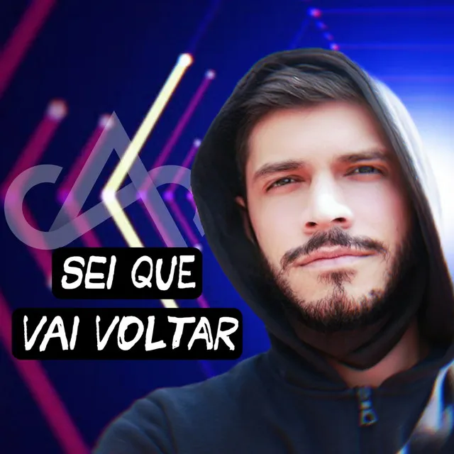 Sei Que Vai Voltar - Remix