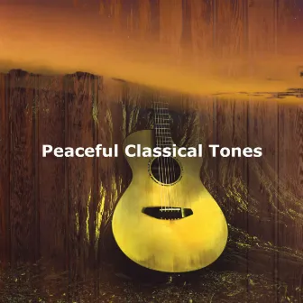 Peaceful Classical Tones by Classic New Age Piano Music