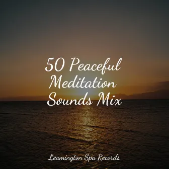 50 Peaceful Meditation Sounds Mix by Sonidos de la Naturaleza Relax