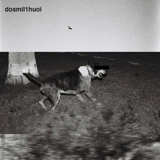 dosmil1huoi