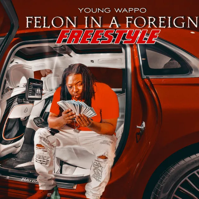 FELON IN A FOREIGN