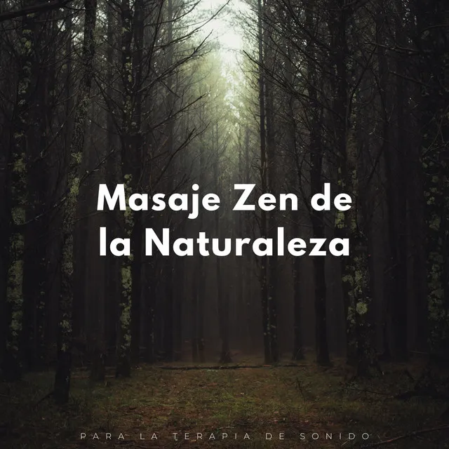 Retirarse En La Naturaleza Para La Terapia De Sonido