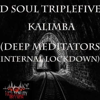 Kalimba (Deep Meditators Internal Lockdown) by D Soul Triple Five