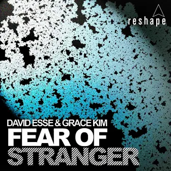 Fear Of Stranger by David Esse