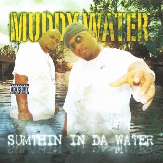 Sumthin in da Water by Muddy Water