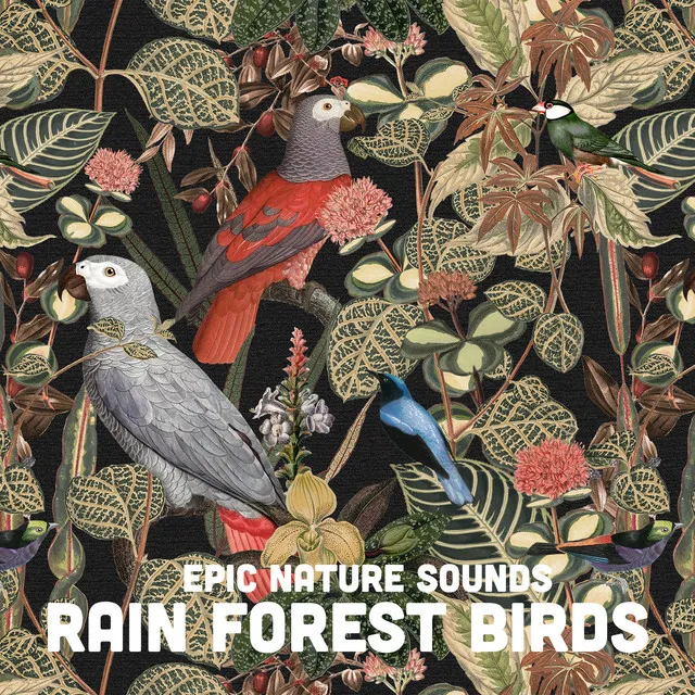 Epic Nature Sounds