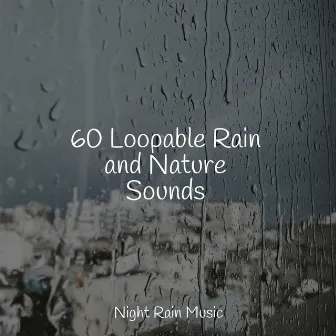 60 Loopable Rain and Nature Sounds by Rain Makers