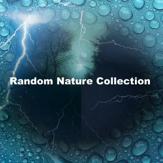 Random Nature Collection by Random Soundscapes