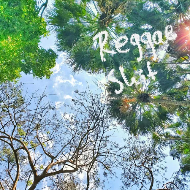 Reggae shit