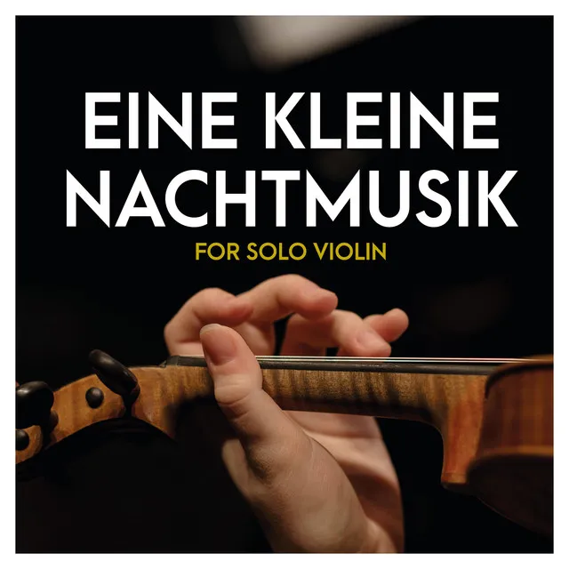 Eine Kleine Nachtmusik (Violin Solo)