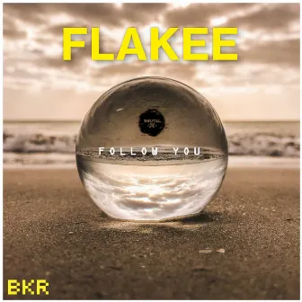 Follow Me by Flakee