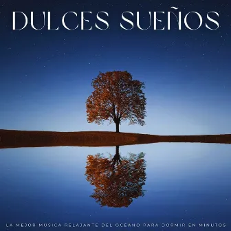 Dulces Sueños: La Mejor Música Relajante Del Océano Para Dormir En Minutos by Música para dormir en conjunto