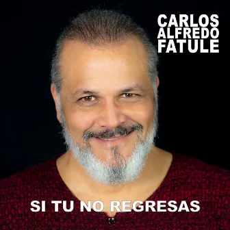 Si Tu No Regresas by Carlos Alfredo Fatule