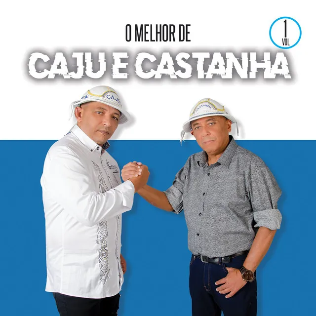 O Melhor de Caju e Castanha