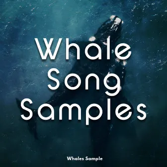 Whale Song Samples by Whales Sample