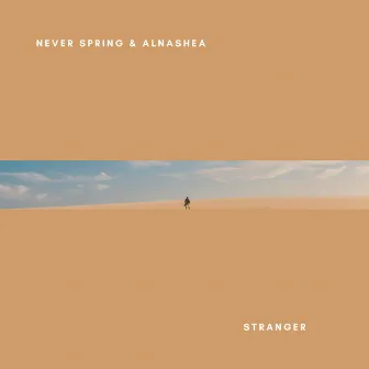 Stranger by Never Spring