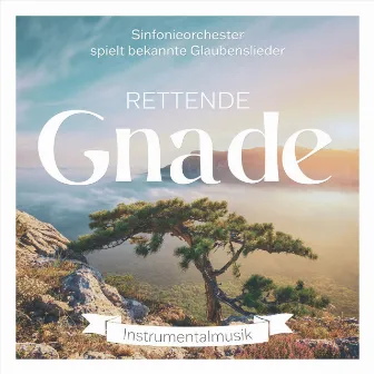 Rettende Gnade by Voice of Hope Music