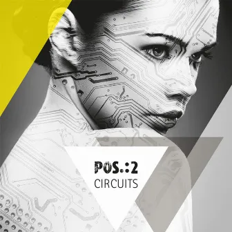 Circuits by POS.:2