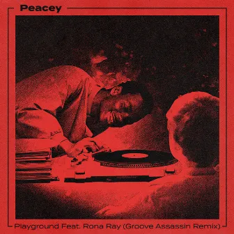 Playground - Groove Assassin Remix by Peacey