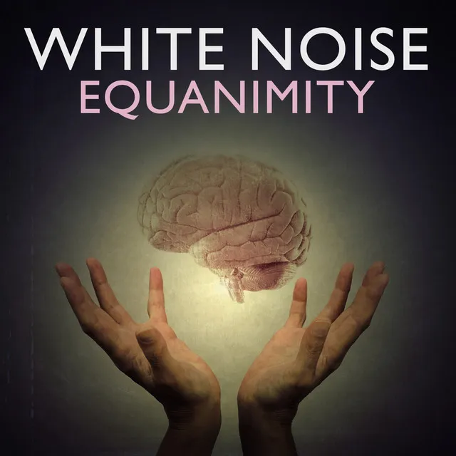 White Noise: Equanimity