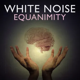 White Noise: Equanimity by Unknown Artist