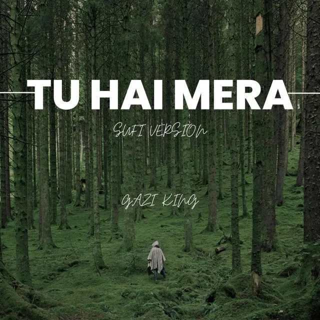 TU HAI MERA (Sufi Version)