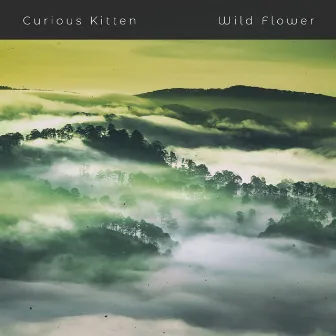 Wild Flower by Curious Kitten