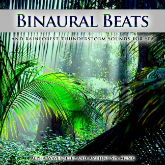 Binaural Beats and Rainforest Thunderstorm Sounds For Spa, Alpha Waves Sleep and Ambient Spa Music by Binaural Beats Spa