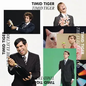 Timid Tiger and the Electric Island (10 Years Anniversary Edition) by Timid Tiger