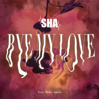 Bye My Love by SHA Music