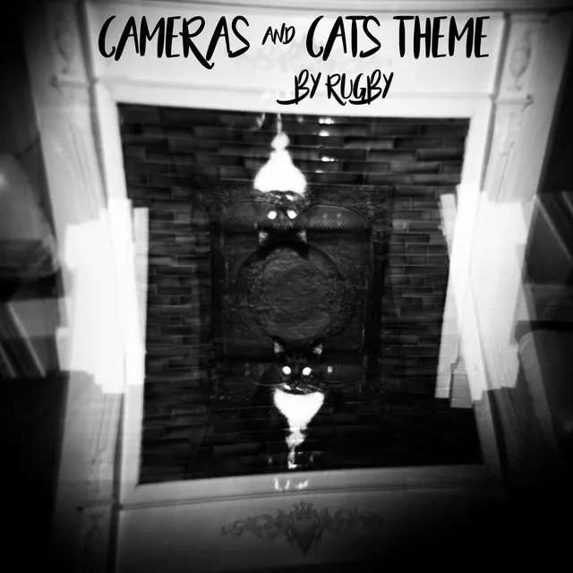 Cameras and Cats Theme Song