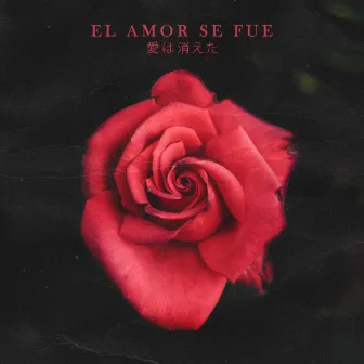 El Amor Se Fue by Newtro