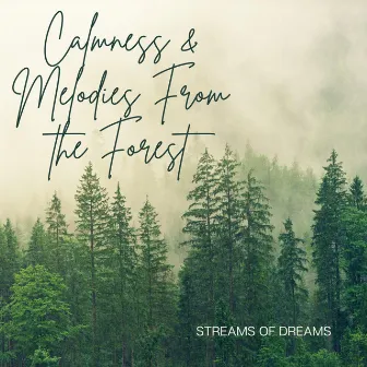 Calmness & Melodies From the Forest by Streams of Dreams