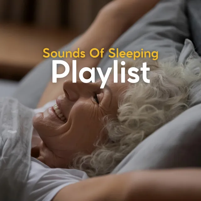 Sounds of Sleeping Playlist